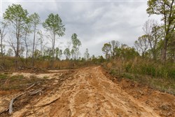 Twin Rivers Tract 12