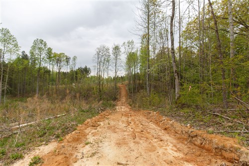 Twin Rivers Tract 16