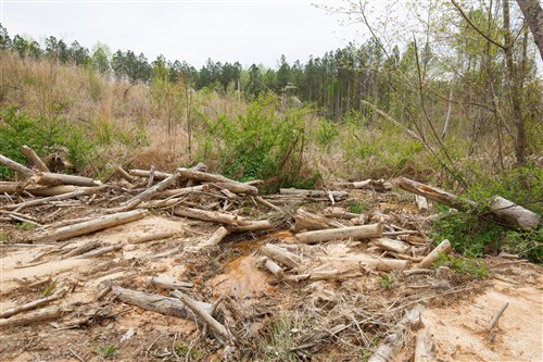 Twin Rivers Tract 16