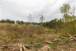 Twin Rivers Tract 16