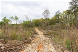 Twin Rivers Tract 16