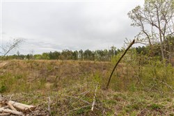Twin Rivers Tract 16