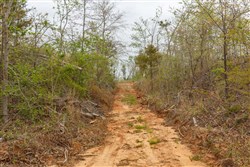 property photo for Twin Rivers Tract 20, 5.26 acres for sale in Henderson County, Tennessee