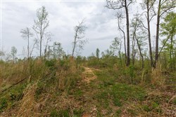property photo for Twin Rivers Tract 20, 5.26 acres for sale in Henderson County, Tennessee