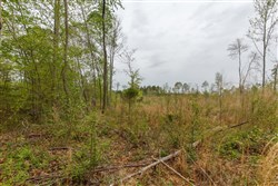 property photo for Twin Rivers Tract 20, 5.26 acres for sale in Henderson County, Tennessee