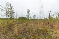 property photo for Twin Rivers Tract 20, 5.26 acres for sale in Henderson County, Tennessee