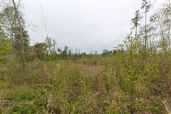 property photo for Twin Rivers Tract 20, 5.26 acres for sale in Henderson County, Tennessee