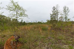 property photo for Twin Rivers Tract 20, 5.26 acres for sale in Henderson County, Tennessee