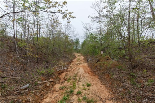 Twin Rivers Tract 21