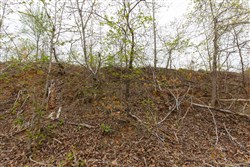 Twin Rivers Tract 21