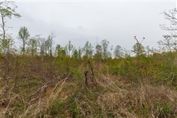 Twin Rivers Tract 21