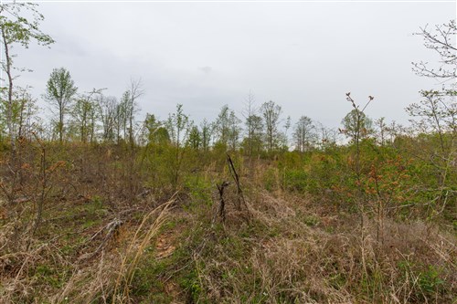 Twin Rivers Tract 21