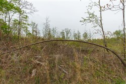 Twin Rivers Tract 21