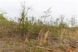 Twin Rivers Tract 21