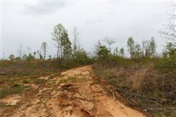 Twin Rivers Tract 21