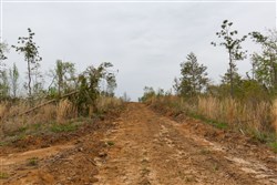 property photo for Twin Rivers Tract 25, 5.01 acres for sale in Henderson County, Tennessee