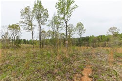 property photo for Twin Rivers Tract 25, 5.01 acres for sale in Henderson County, Tennessee