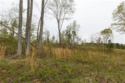 property photo for Twin Rivers Tract 25, 5.01 acres for sale in Henderson County, Tennessee