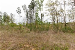Twin Rivers Tract 27