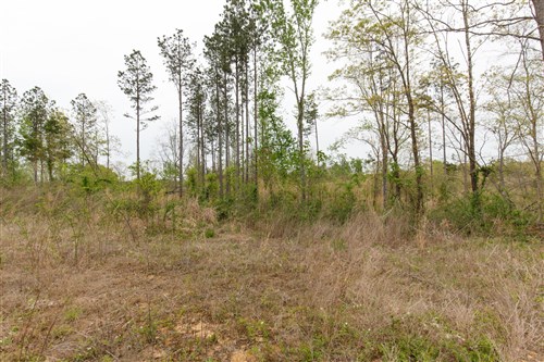 Twin Rivers Tract 27
