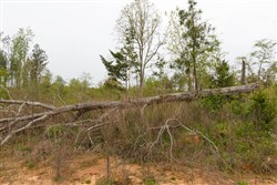 Twin Rivers Tract 27