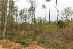 Twin Rivers Tract 27