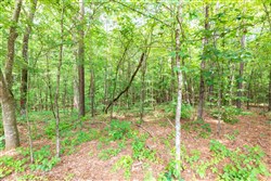 property photo for Whiskey Ridge Tract 1, 6.63 acres for sale in Henderson County, Tennessee