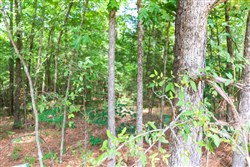 property photo for Whiskey Ridge Tract 1, 6.63 acres for sale in Henderson County, Tennessee