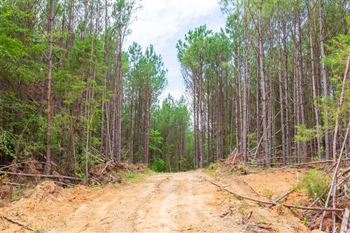 Whiskey Ridge Tract 101