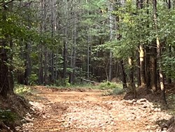 Whiskey Ridge Tract 101