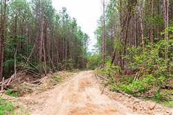 property photo for Whiskey Ridge Tract 102, 6.67 acres for sale in Henderson County, Tennessee