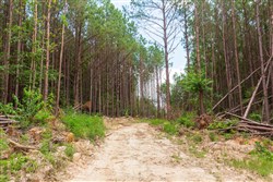 property photo for Whiskey Ridge Tract 102, 6.67 acres for sale in Henderson County, Tennessee