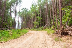 property photo for Whiskey Ridge Tract 103, 10.42 acres for sale in Henderson County, Tennessee