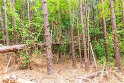 property photo for Whiskey Ridge Tract 103, 10.42 acres for sale in Henderson County, Tennessee