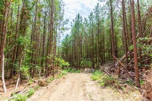 Whiskey Ridge Tract 104