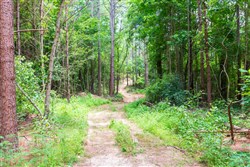 Whiskey Ridge Tract 104