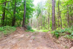 property photo for Whiskey Ridge Tract 105, 8.74 acres for sale in Henderson County, Tennessee