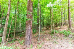 property photo for Whiskey Ridge Tract 105, 8.74 acres for sale in Henderson County, Tennessee