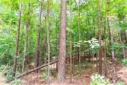 property photo for Whiskey Ridge Tract 105, 8.74 acres for sale in Henderson County, Tennessee