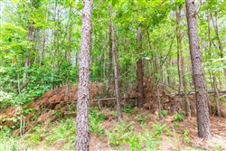 property photo for Whiskey Ridge Tract 105, 8.74 acres for sale in Henderson County, Tennessee