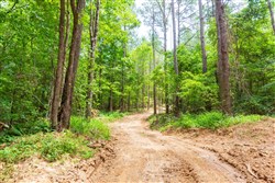 property photo for Whiskey Ridge Tract 105, 8.74 acres for sale in Henderson County, Tennessee