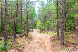 Whiskey Ridge Tract 106