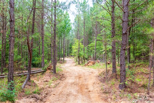 Whiskey Ridge Tract 106