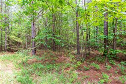 Whiskey Ridge Tract 106
