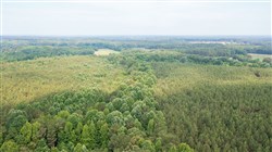 Whiskey Ridge Tract 106