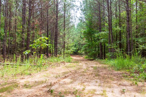 Whiskey Ridge Tract 107