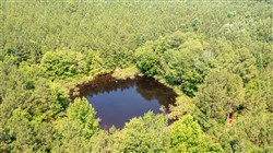 Whiskey Ridge Tract 107