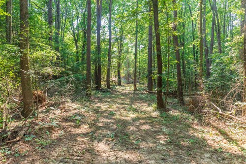Whiskey Ridge Tract 108