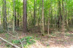 Whiskey Ridge Tract 108