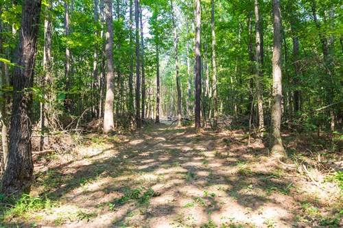 Whiskey Ridge Tract 108